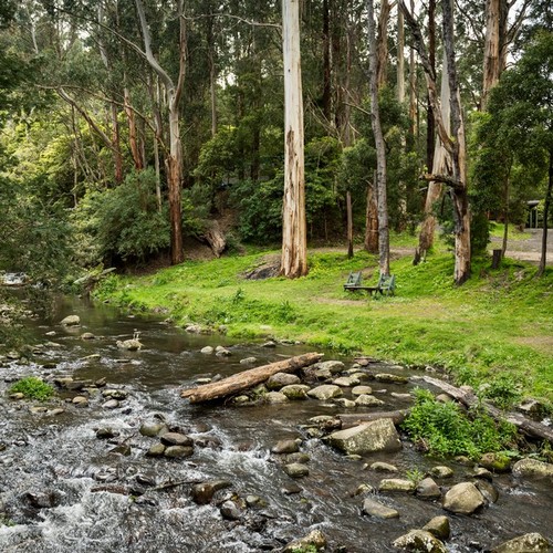 Tarra Valley Retreat